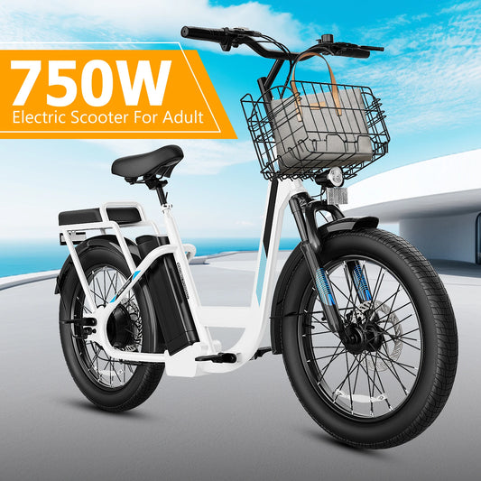 Electric Scooter with Seat, 48V Removable Battery E-Bike, Up to 30Miles&20MPH, 500/800/1200W Motor, 20" Fat Tire Adult Electric