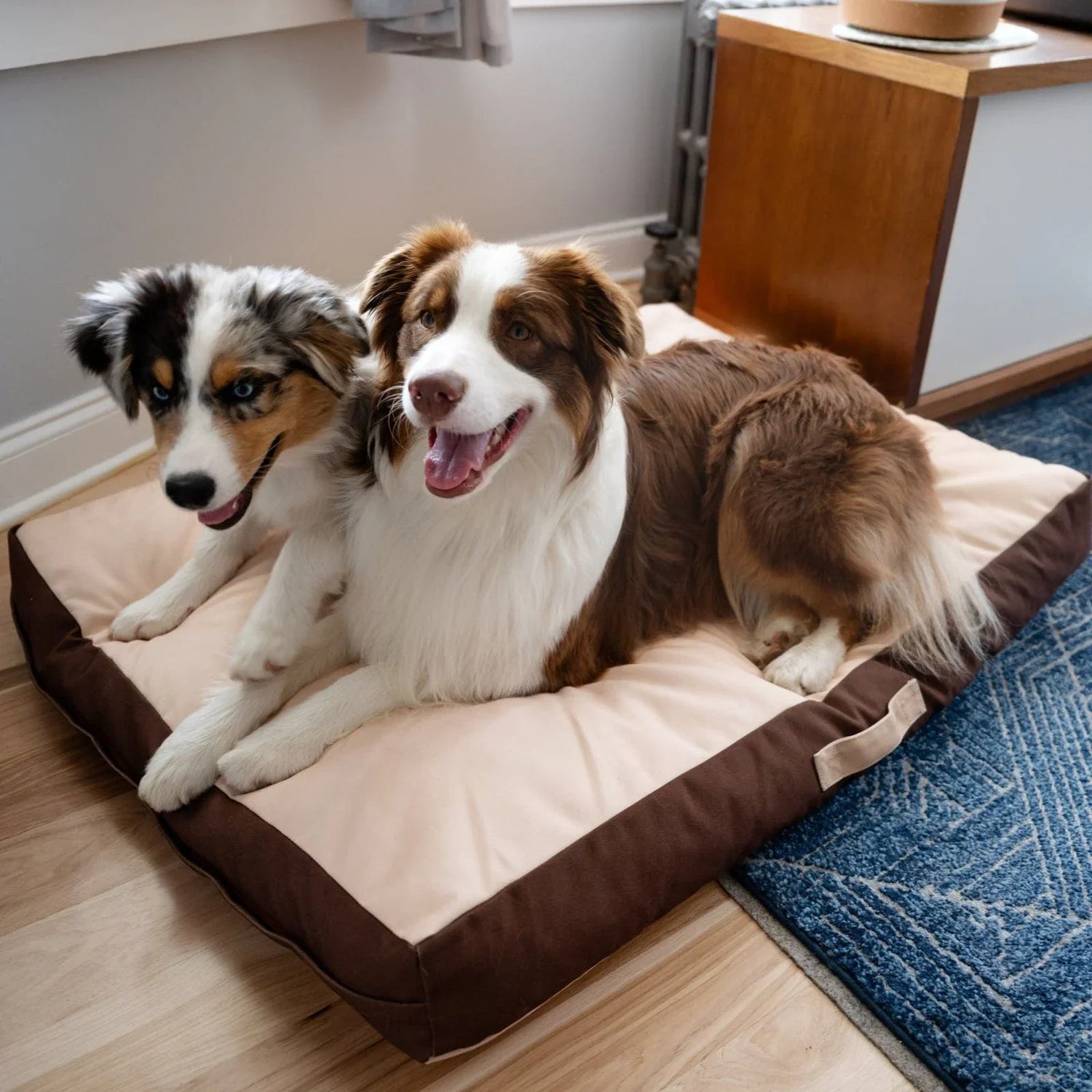 Bed and Blankets
